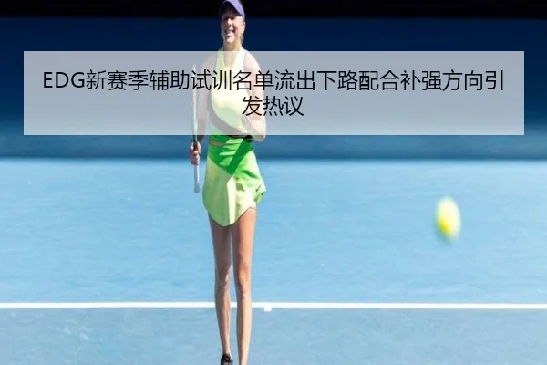 EDG新赛季辅助试训名单流出下路配合补强方向引发热议